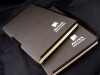 17673a notes A5