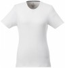 38025011f Damski organiczny t-shirt Balfour S Female