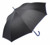 072880c-06 Parasol