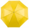 169174c-02 Parasol