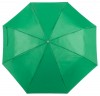 169174c-07 Parasol
