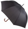 841080c-10 Parasol