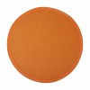 401584c-03 Frisbee