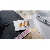 1059m-06-16G Creditcard. USB flash 16GB
