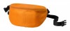 115672c-03 Torba biodrowa