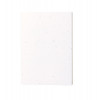204972c-01 Notes z papieru nasiennego