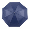 169174c-06A Parasol