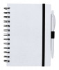 300973c-10 Notes RABS
