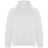 R10741Z1f Vinson bluza unisex z kapturem Unisex