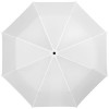 10901604f Automatyczny parasol 3-sekcyjny 21.5" Alex