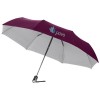10901616f Automatyczny parasol 3-sekcyjny 21.5" Alex