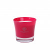 Ca_006 Świeca w szkle RAY 220ml